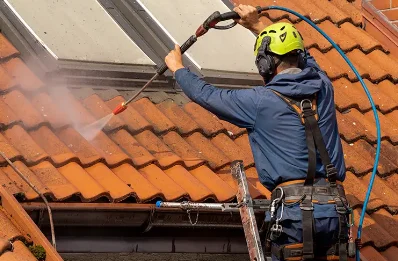 Démoussage et hydrofuge de toiture à Allas-Bocage